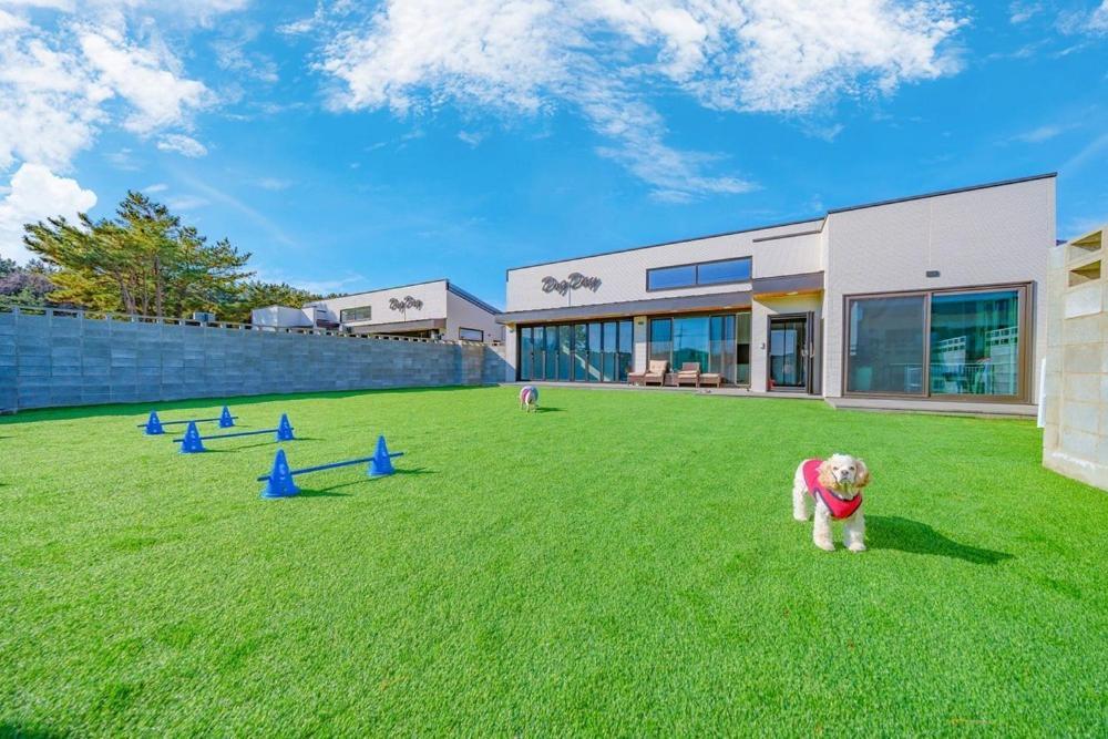 Taean Dog Day Pet Pool Villa Extérieur photo